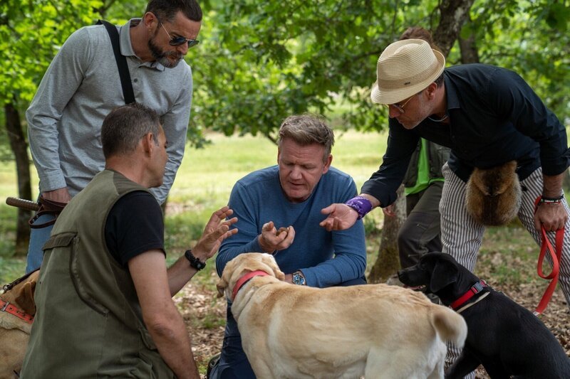 V.l.: Fred Sirieix, Gordon Ramsay, Gino D’Acampo – Bild: RTL /​ © Studio Ramsay and All3Media int