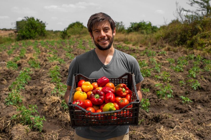 David Auerbach ist Mitbegründer und Präsident von Regen Organics, einem US-Unternehmen, das sich beim Aufbau nachhaltiger Landwirtschaft im Osten und Süden Afrikas betätigt. – Bild: Martin Buzora /​ BBC, Studio Silverback