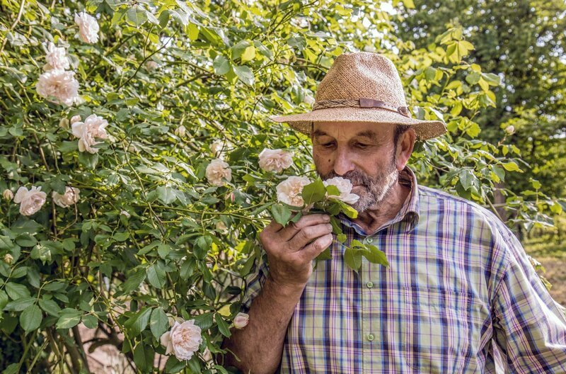 Hobbygärtner Hans Breisacher genießt seinen Garten mit allen Sinnen. – Bild: SWR/​megaherz