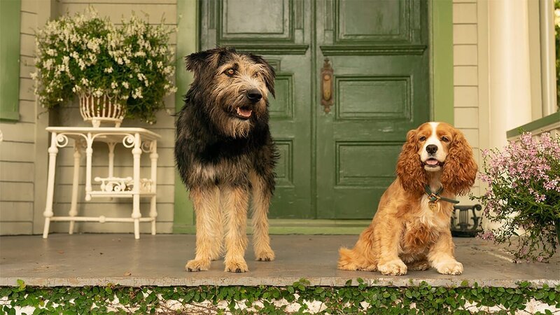 Lady und Tramp – Bild: Courtesy of Disney+