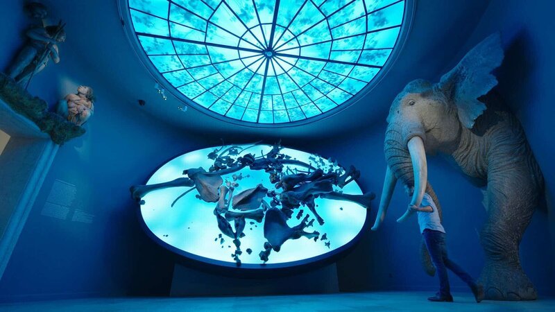 Mirko Drotschmann mit Knochen und Rekonstruktion eines Waldelefanten im Landesmuseum Halle (Saale). Der Dickhäuter lebte vor rund 125.000 Jahren, als die Neandertaler Europa beherrschten. – Bild: ZDF und Torbjörn Karvang /​ The History Channel