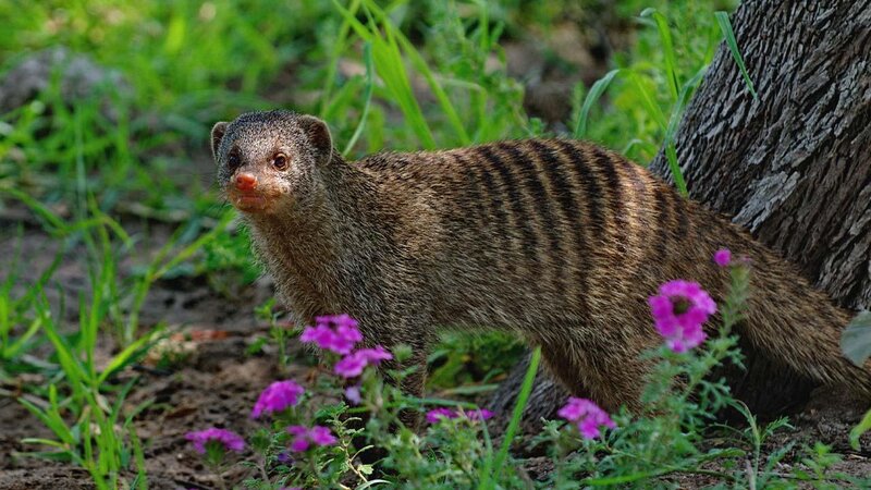 . – Bild: ANIXE HD