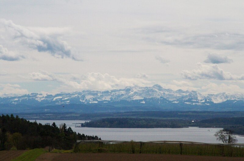 Bodensee. – Bild: SWR /​ SWR