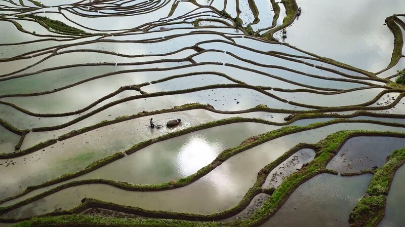 Die Reisterrassen der Hani im Süden von Yunnan. In jedem Frühling werden die Felder neu bestellt. – Bild: ZDF und arte, Liu Chunhai, Mike Single