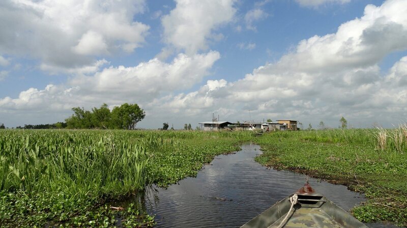 Der Bayou im Sumpflandschaften des Mississippi-Mündungsdeltas. – Bild: phoenix/​NDR/​National Geographic Channel/​Whitney Beer-Ker