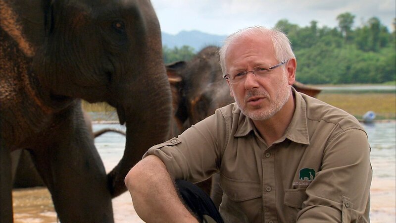 Theo Pagel, Kölns Zoodirektor, mit Asiatischen Elefanten. – Bild: WDR/​Längengrad Filmproduktion