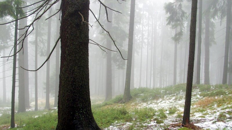 Nebel am Mandelstein. – Bild: ZDF und ORF/​Kurt Mündl
