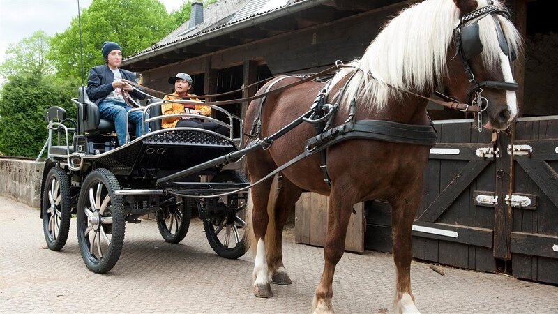 Pferdeschmerz – 3 – Bild: SWR/​Maria Wiesler