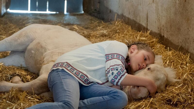 Fohlenherz – 1 – Bild: SWR/​Maria Wiesler