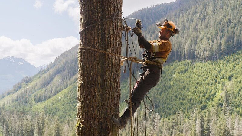 Brad Laviolette standing and roped to the side of an upright tree while attaching a yarder cable. – Bild: Warner Bros. Discovery, Inc.