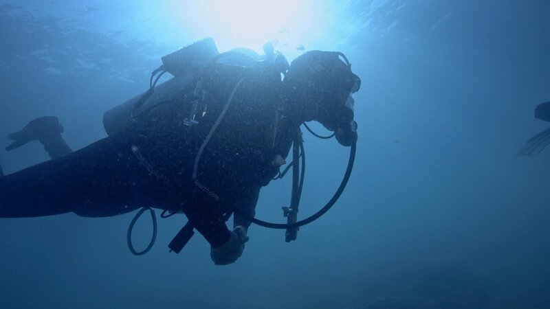 Bild: 2021 NGC NETWORK US, LLC All Rights Reserved Lizenzbild frei