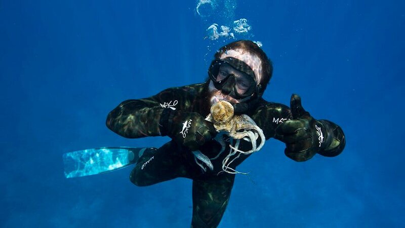 Bild: Discovery Communications /​ Chris Marchand