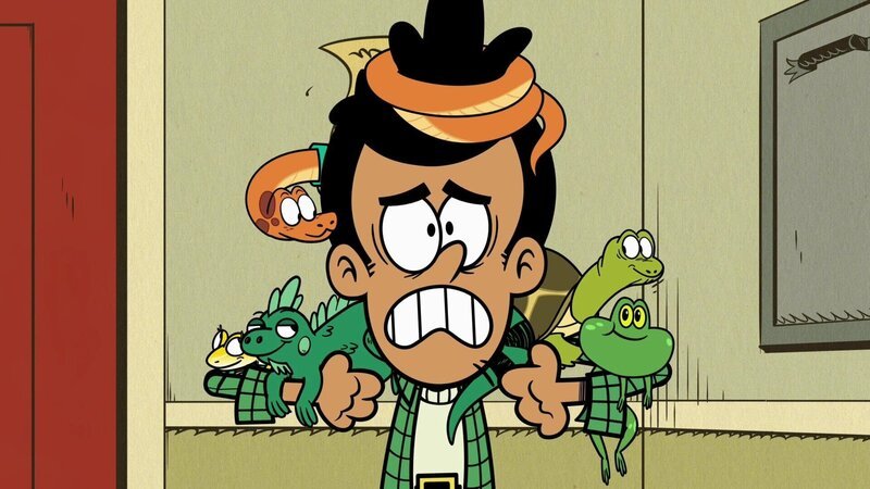 Bobby (m.)  +++ – Bild: RTL /​ Die Schlange ist los