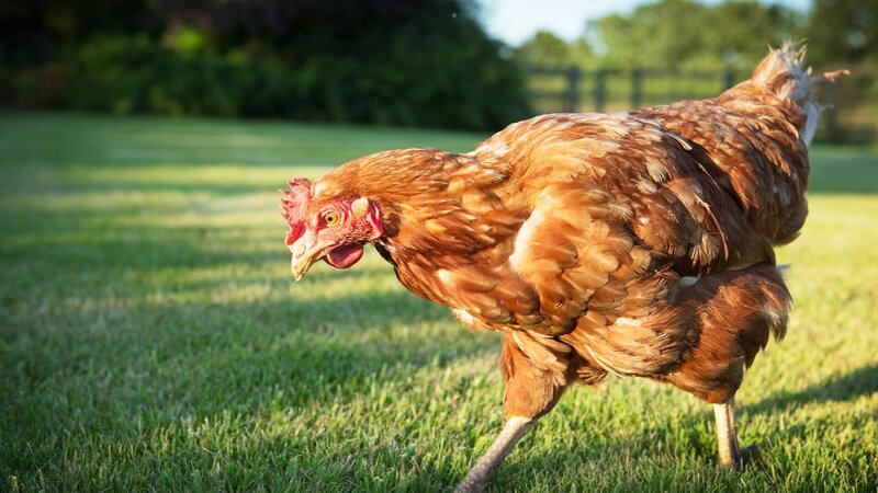 . – Bild: Warner Bros. Discovery