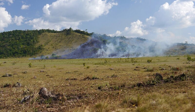 Brennende Savanne – Bild: ZDF /​ Marion Pöllmann/​Rainer Bergomaz