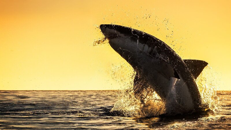 . – Bild: Warner Bros. Discovery