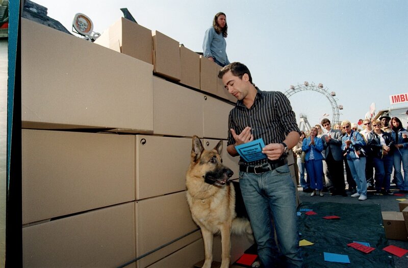 Alexander Pschill (Marc Hoffmann). – Bild: ORF/​Dohr Werbe GmbH/​Ali Schafler