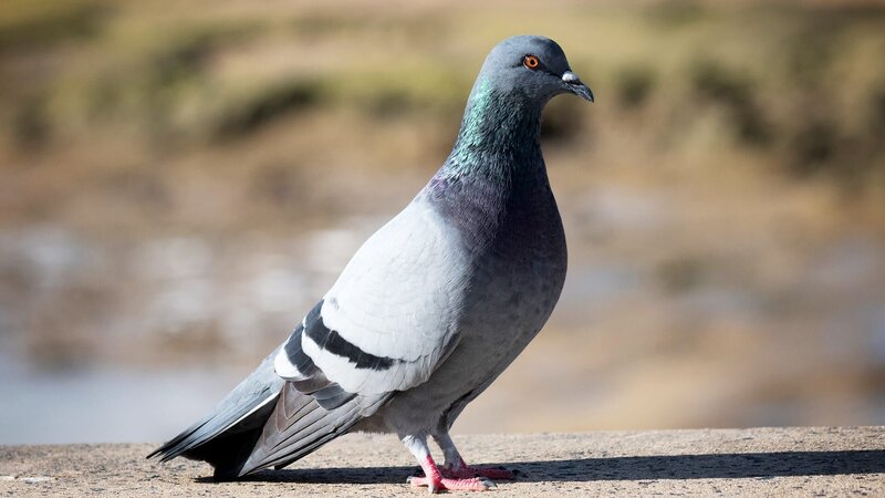 . – Bild: Warner Bros. Discovery