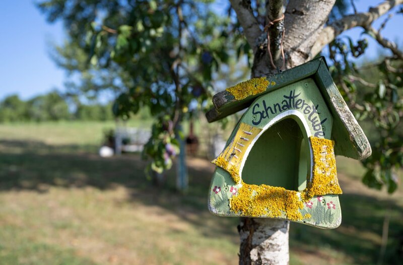 Im Garten von Gastgeberin Dajana Schmitt finden die Vögel auch ein schönes Zuhause. – Bild: WDR/​Melanie Grande
