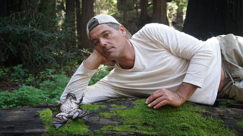 Bild: International Networks /​ Discovery Communications, LLC