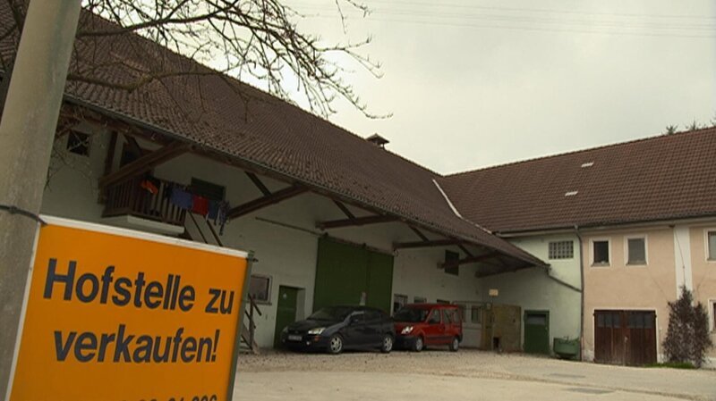 Der Hopfenhandel war von jeher ein spekulatives Geschäft, bei dem man im einen Jahr viel gewinnen und im nächsten Jahr alles verlieren konnte. Heute kommt noch der Strukturwandel hinzu. Die Bauern werden immer weniger. – Bild: BR