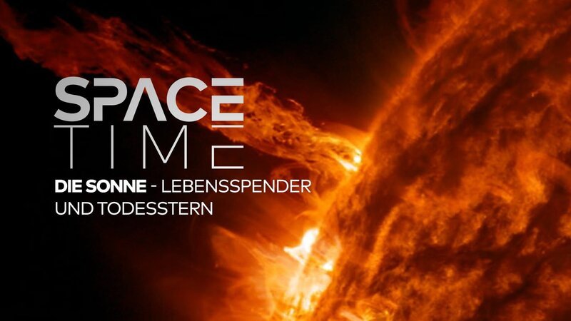 Bild: WELT