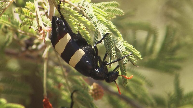 . – Bild: ANIXE HD