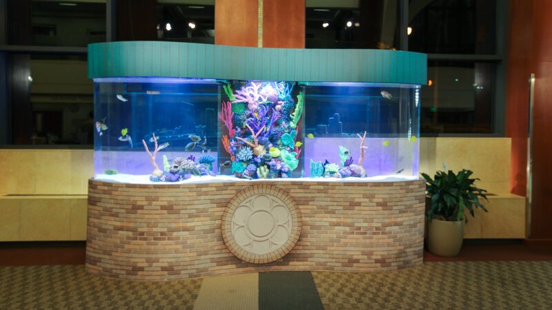 The finished Stiles Mercy Health Hospital Tank. – Bild: Animal Planet /​ Photo bank 33337_ep419_015 /​ Discovery Communications