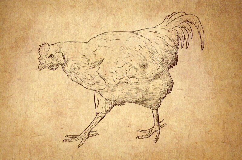 Dino-Jäger - Auf der Spur der Urzeit-Giganten – Bild: J.Knüppe/​Caligari Entertainment