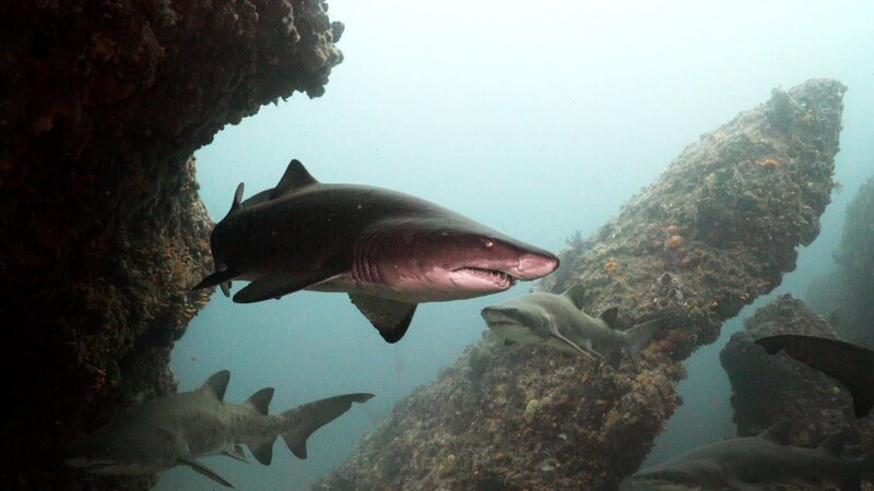 . – Bild: Warner Bros. Discovery