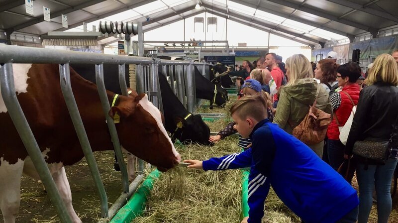Tiere zum Anfassen – auf der „MeLa“. Vier Tage lang lassen sich Landwirte, Züchter und Produzenten in die Karten gucken. – Bild: NDR