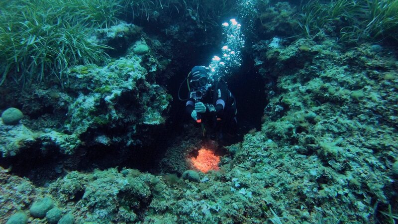 Rund um die Insel San Pietro gibt es unter Wasser Rinnen, Felswände und Höhlen. Eine spannende Unterwasserwelt für Taucher. – Bild: Radio Bremen/​Lür Wangenheim/​Lür Wangenheim