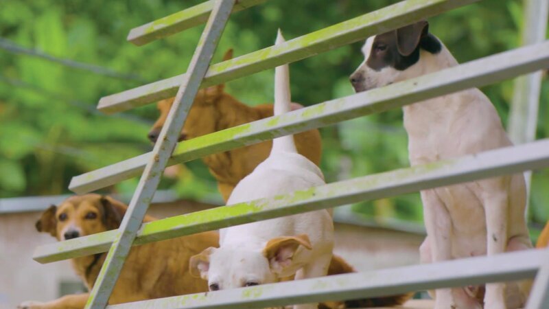 Bild: CuriosityStream Inc