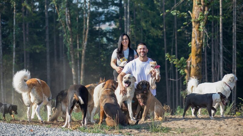 L-R: Sonia Gomez und Lee Asher posieren für ein Familienfoto mit dem Hunderudel. – Bild: Shonda Thomas /​ Group Nine Media, Inc. /​ Photobank. /​ Discovery Communications, LLC
