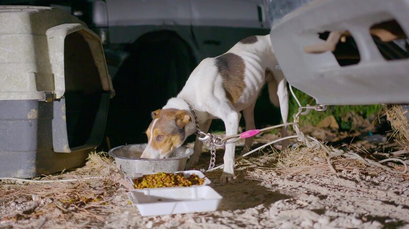 Bild: CuriosityStream Inc