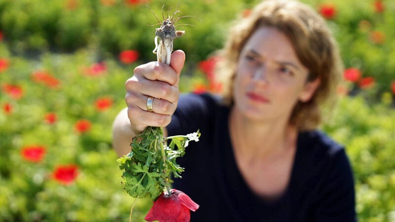 Harmlose Blumenidylle? Von wegen! Hier gedeihen gefährlichen Pilze. Um ihr Geheimnis zu lüften, muss Lena Ganschow die Blumen buchstäblich bei der Wurzel packen. – Bild: Honorarfrei – nur für diese Sendung inkl. SocialMedia bei Nennung ZDF und SWR.