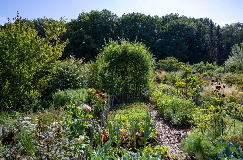 Die dritte Gartenreise diesen Sommer führt mitten ins Ruhrgebiet. Im Schatten des Fußballstadions hat die Psychologin Nabila Pelz aus einem kleinen Schrebergarten ein grünes Zuhause für ihre Familie geschaffen. – Bild: WDR/​Melanie Grande