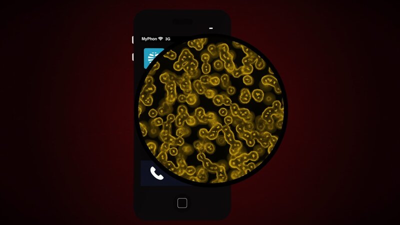 Bild: The National Geographic Channel.