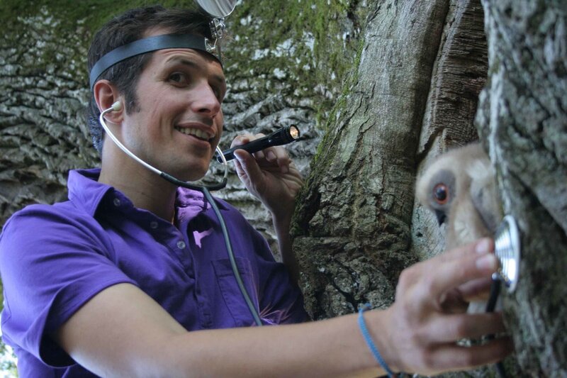 Willi als Baumdoktor. – Bild: BR/​megaherz gmbh