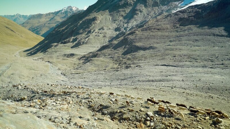 Venter Tal – Bild: ORF/​Vaughan Video
