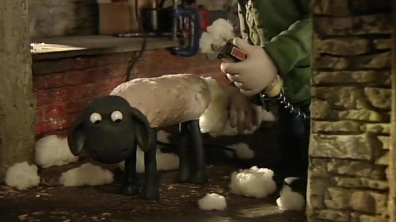 Das erste Schaf ist kahl geschoren. Können sich die anderen verstecken? – Bild: WDR/​Aardman Animation Ltd./​BBC
