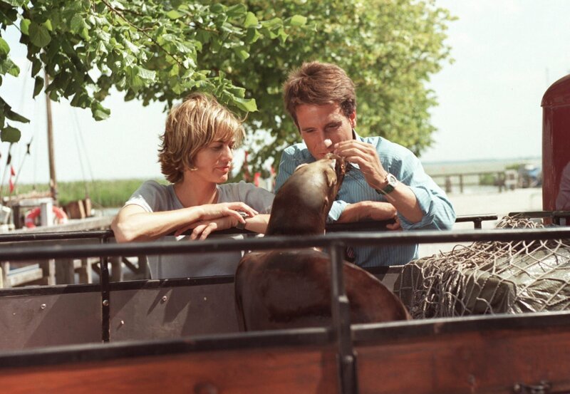 Langsam funkt es zwischen Thomas (Oliver Mommsen) und – nein, nicht der Robbe William, sondern ihrer Besitzerin Anne (Gesine Cukrowski). – Bild: ARD Degeto/​ARD Degeto/​Noreen Flynn