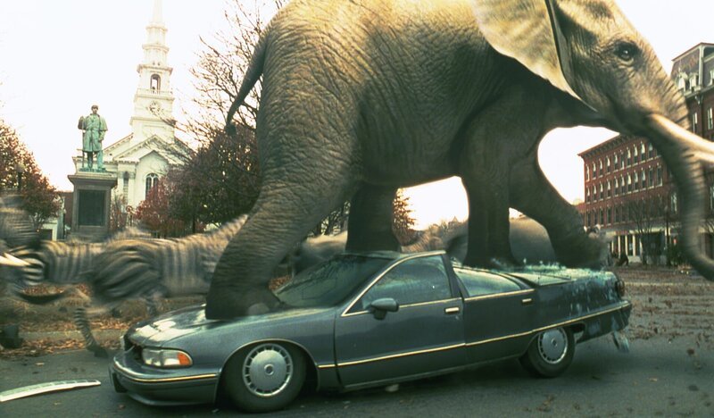 Ich bin ein Elefant, Madame: Eine von „Jumanji“ herbeigezauberte wilde Elefantenherde stampft durch den Ort und hinterläßt eine Schneise der Verwüstung … – Bild: 1995 TriStar Pictures, Inc. All Rights Reserved.