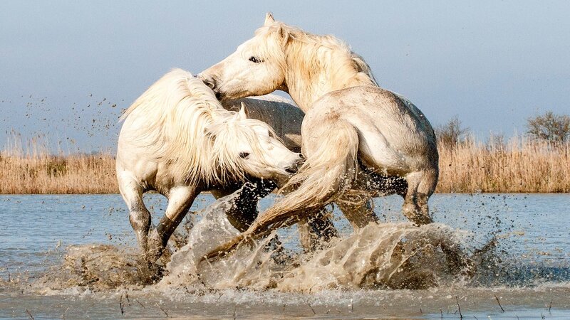 Bild: John Hallam /​ Getty Images/​500px Prime /​ 500px Prime