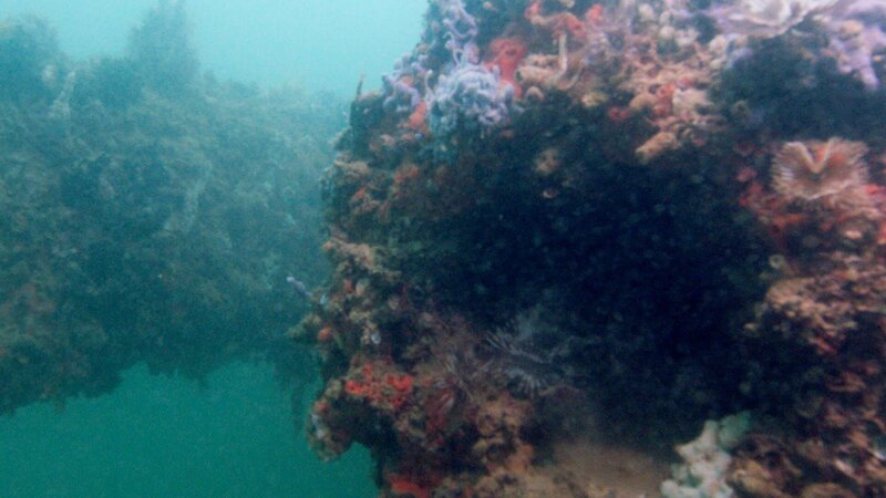 Bild: 2016_CuriosityStream-Inc