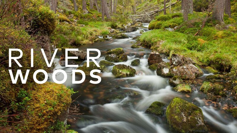 Riverwoods - Schottlands wilde Flüsse – Bild: RTL