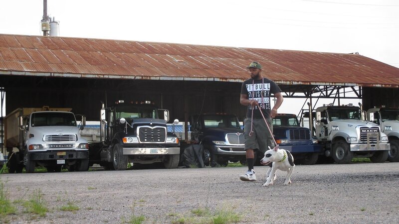 Joe walks Rambo into the meet and greet. – Bild: Animal Planet / Discovery Communications Joe walks Rambo into the meet and greet. – Bild: Animal Planet / Discovery Communications