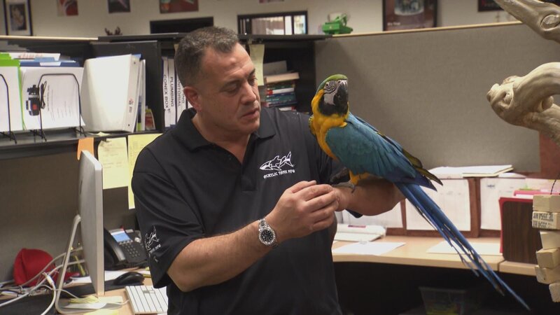 Wayde holding an Ara macao. – Bild: Warner Bros. Discovery