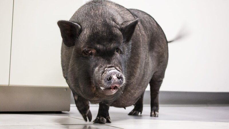 . – Bild: Warner Bros. Discovery