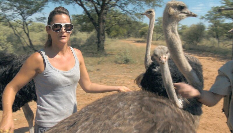 Strausse können mit ihren Krallen ganz schön gefährlich werden. – Bild: BR/​SWR/​Dani Purer